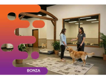 36522 - Profitable Dog Daycare Business with Strong Client Retention