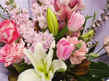Established Florist for Sale Prime Riverwood Shopping Centre Location