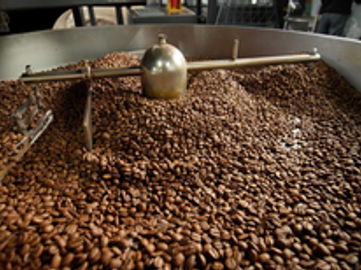 Sunshine Coast Specialty Coffee Roastery