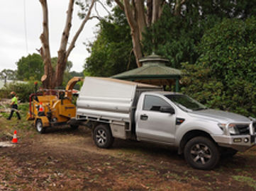 Arborist Business with Council Contract for Sale ST1587