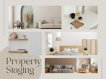 15 Years Property Styling/Staging Business For Sale SV1596