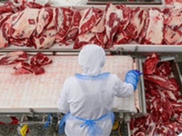 Sydney Meat Wholesalers 36 years Established $ 12 mil T/0 Per Year High Profits
