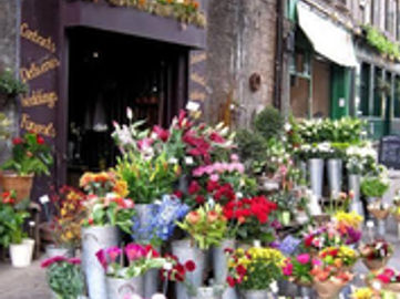 Established Florist for sale in Bentleigh area
