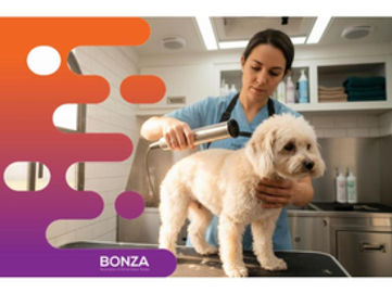 37007 - Mobile Pet Grooming Business Ready to Grow