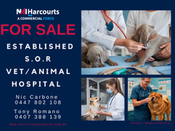 Established Veterinary Practice running Under Management!