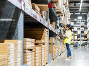 Five Days Established Wholesale Import Business - Ref: 16463