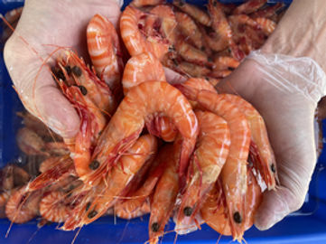 PRICE REDUCED! Established Mobile Seafood Retail Business – Three Turnkey Outlets Included