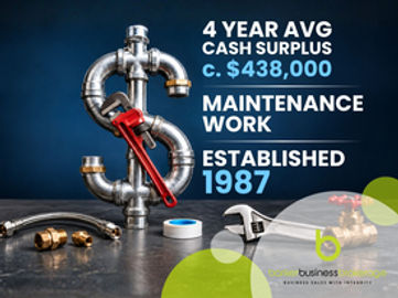 Established Plumbing - Strong Maintenance Base