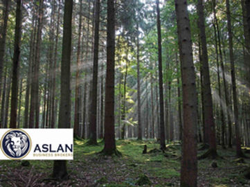 LAND FOR SALE IN NEW ZEALAND