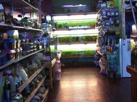 Pet Shop and Grooming