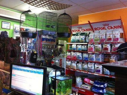 Pet Shop and Grooming