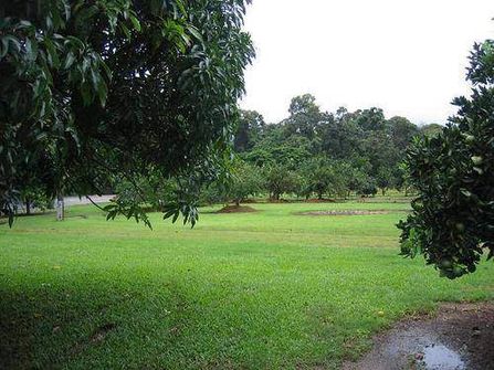 Lifestyle opportunity - Atherton Tablelands