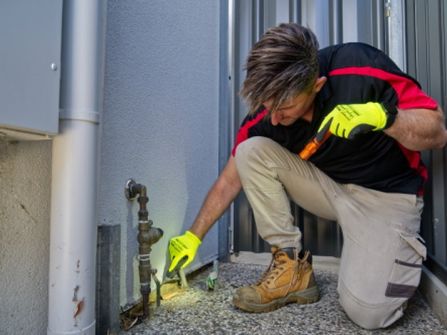 Pest Control is Very High Profit Margins + Low Costs = Great Profits!