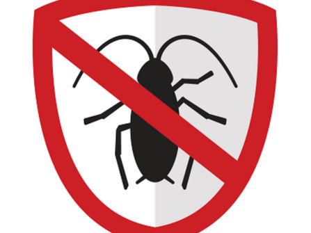 Top Rated Gold Coast Pest Control, Recurring Revenue