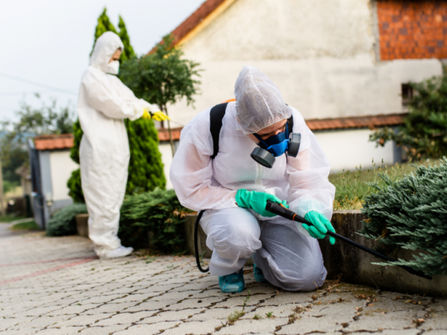 Top Rated Gold Coast Pest Control, Recurring Revenue