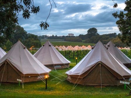 Wildernest - NZ Mobile Glamping Business for Sale