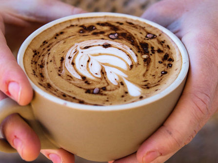 Iconic Take Away Food Kebab and cafe all in one Huge Turnover Very Cheap Rent