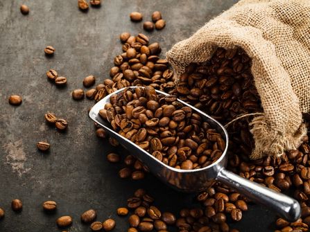 "Specialty Coffee & Caf