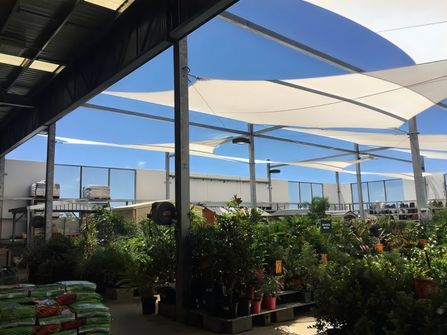 East Coast Shades (Price Reduced) $140,000 walk-in walk out.