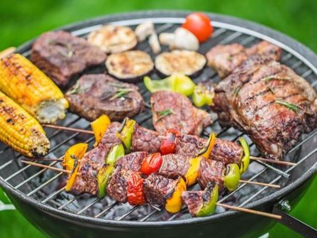 "Well Est, Highly Profitable Outdoor Furniture, Accessories and BBQ Business"