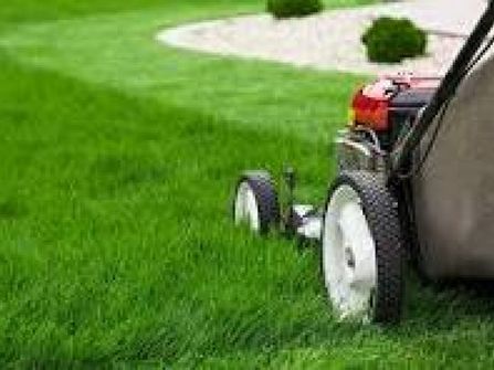 Garden Maintenance Business for sale