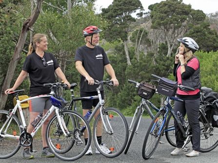 LOW INVESTMENT Bike Tours Profitable Lifestyle Business For Sale St Helens Tasmania Est 22 Yrs