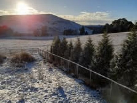 INTERNATIONAL MONTESSORI SCHOOL FOR SALE – A RARE OPPORTUNITY!