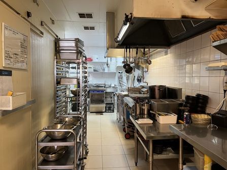 Bong Chicken Business for Sale