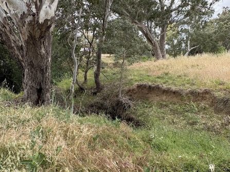 Freehold Liquor, LPO General Store & 6 BR Residence in Nangus