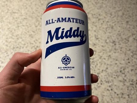 ALL AMERICAN BREWING CO — BUSINESS FOR SALE