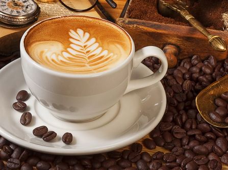 Cafe with Mixed Food Offering BA-1063