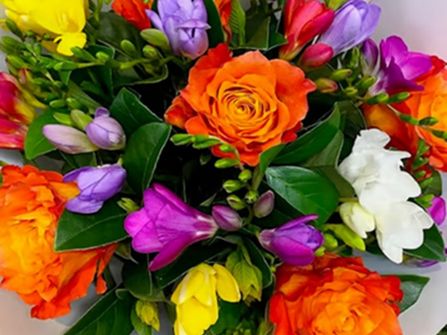 Wholesale Plants – 45years One Owner