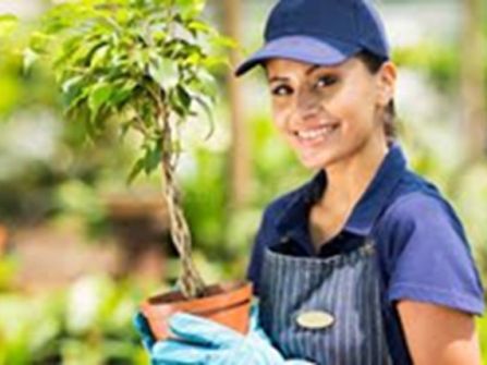 Wholesale Plants – 45years One Owner