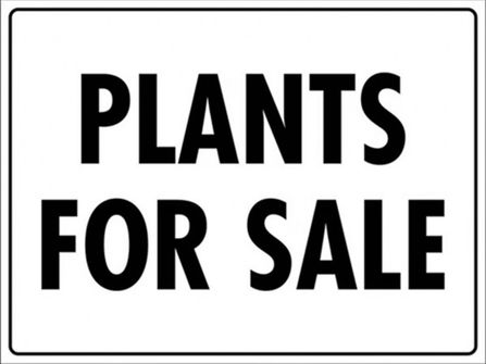 Wholesale Plants – 45years One Owner