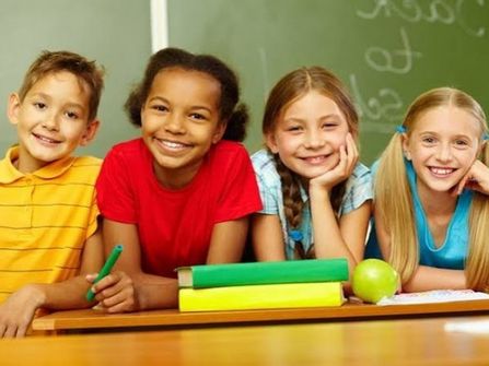 Unique, Import, Wholesale/Distribution and Online School Products Business #424