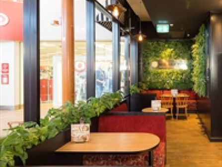 New Cafe Opportunity Burleigh Head + $40,000 to Kickstart Your Cafe + Quality Coffee + Great Rent + fast-track your coffee success + NEW FINANCE OPTIONS