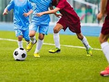 Niche Market Sports Product, Apparel and Equipment Outlet and National Online Webstore #411