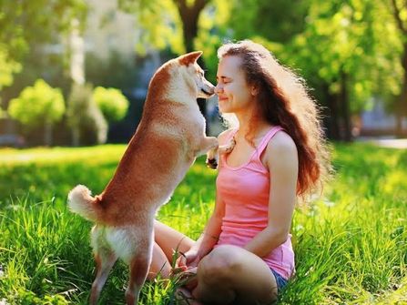 Online Pet Product Wholesaler/Distributor and Supplier #438