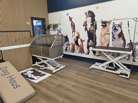 Rewarding Dog Day Care & Grooming Business for Sale – Prime Stanmore, NSW Location – High Foot Traffic – Brand New Fit-Out – New Equipment –Ample Parking – Active Social Media – Huge Growth Opportunity – Asking Price: $ 35,000