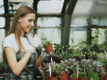 Wholesale Plants –  45years One Owner