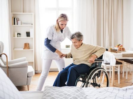 Gold Coast Based NDIS/Disability Support and in-home Care Service Business #414