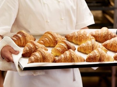 Premium Wholesale Bakery & Takeaway Cafe Opportunity