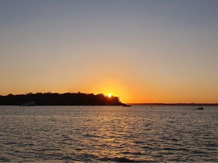 House Boats Noosa River HUGE Reduction $995,000 NOW $695,000 WIWO