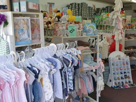 Profitable Retail and Online Business servicing the fast-growing Childre...