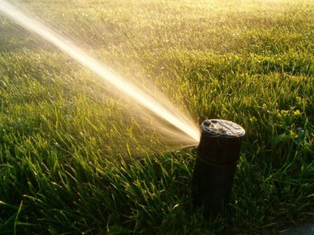 Landscape Gardening Business For Sale PRICED TO SELL