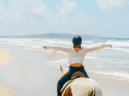 Noosa Heads Iconic Beach Horse Riding Business for Sale | Advantage