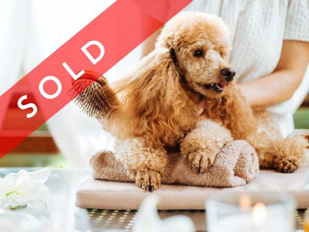 SOLD Doggy Daycare & Grooming Busines