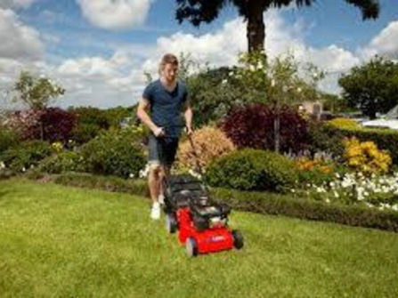 BELLARINE MOWER SERVICE - FOR SALE