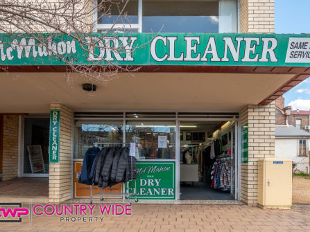 Profitable Dry Cleaning Business