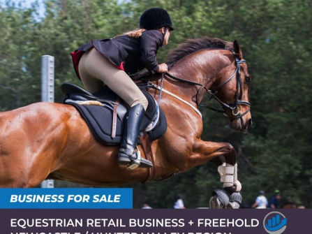 The equestrian dream - a longstanding saddlery retail business